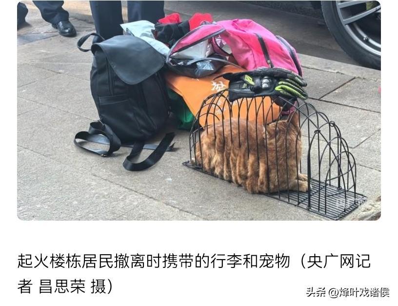 2025世界俱乐部杯-成都火灾5死2伤后续，多位知情人讲述真相，当晚的起火源头被公开